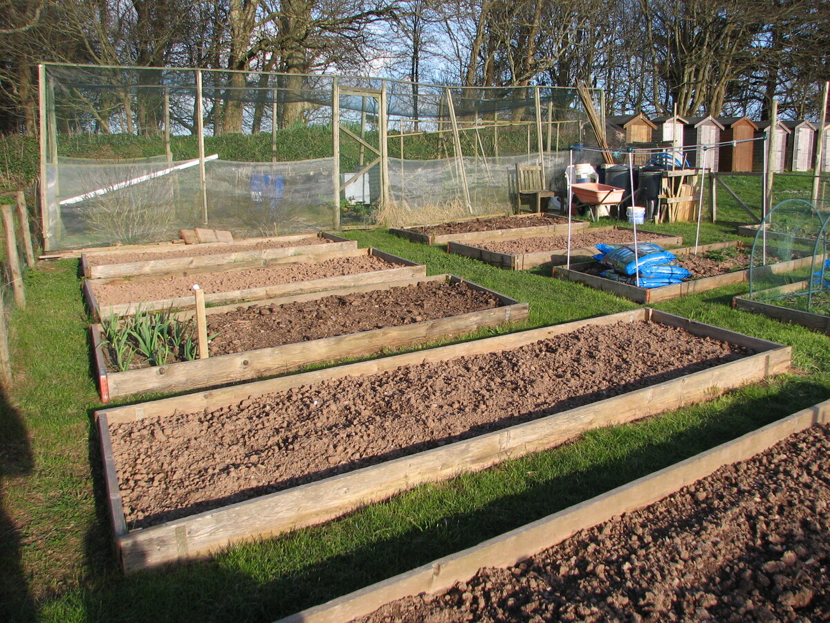 Plot 39 23rd March 2014